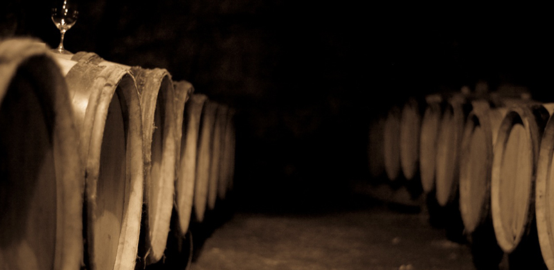 Domaine de Pallus